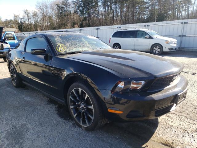 Photo 0 VIN: 1ZVBP8AM6C5206254 - FORD MUSTANG 