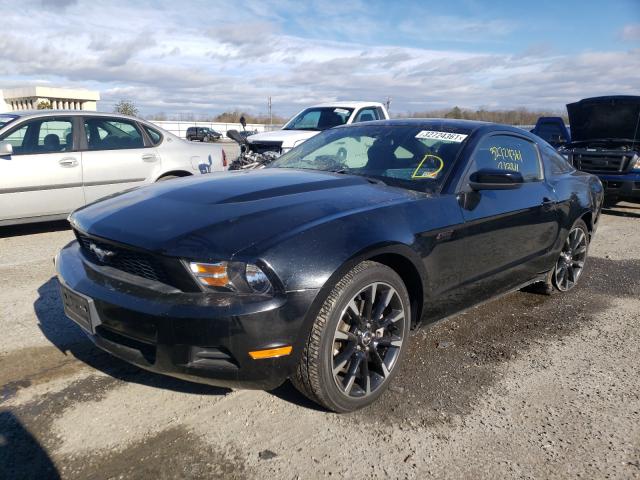 Photo 1 VIN: 1ZVBP8AM6C5206254 - FORD MUSTANG 