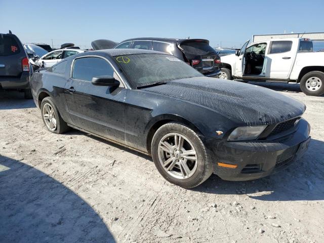 Photo 3 VIN: 1ZVBP8AM6C5247418 - FORD MUSTANG 