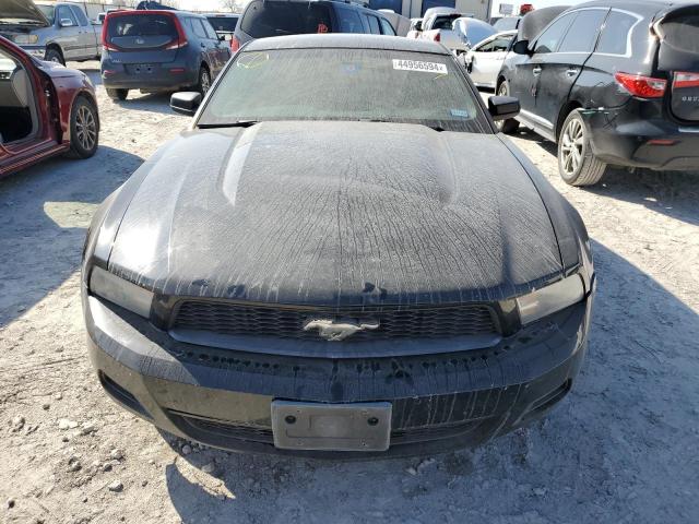 Photo 4 VIN: 1ZVBP8AM6C5247418 - FORD MUSTANG 