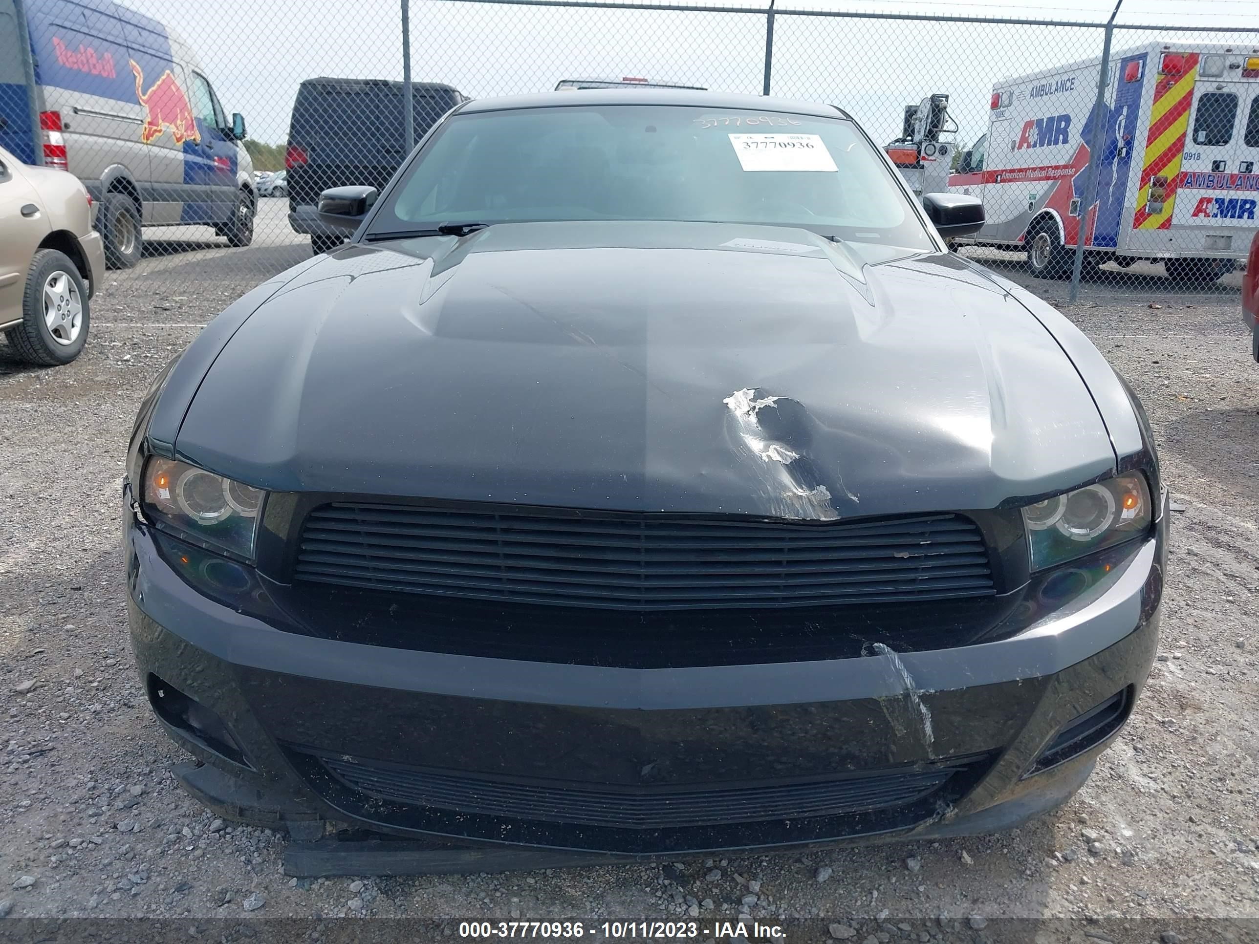 Photo 11 VIN: 1ZVBP8AM6C5260072 - FORD MUSTANG 