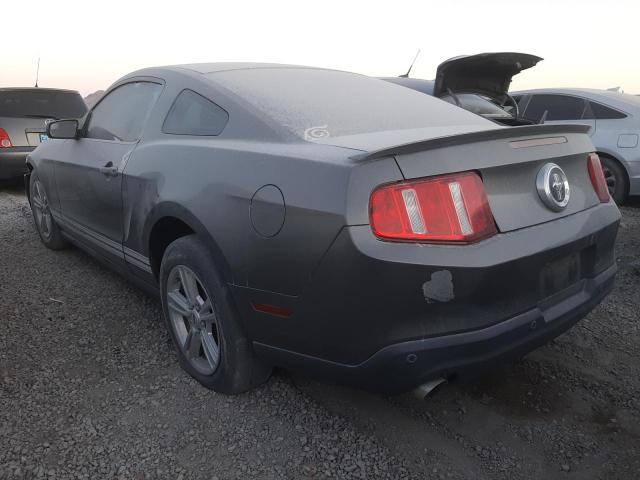 Photo 1 VIN: 1ZVBP8AM6C5262002 - FORD MUSTANG 