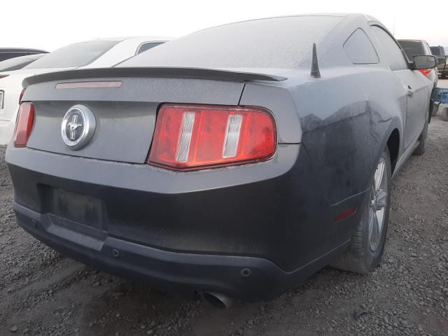 Photo 2 VIN: 1ZVBP8AM6C5262002 - FORD MUSTANG 