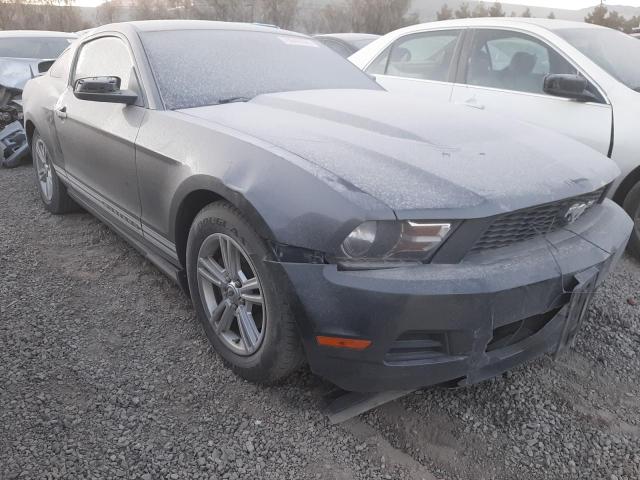 Photo 3 VIN: 1ZVBP8AM6C5262002 - FORD MUSTANG 