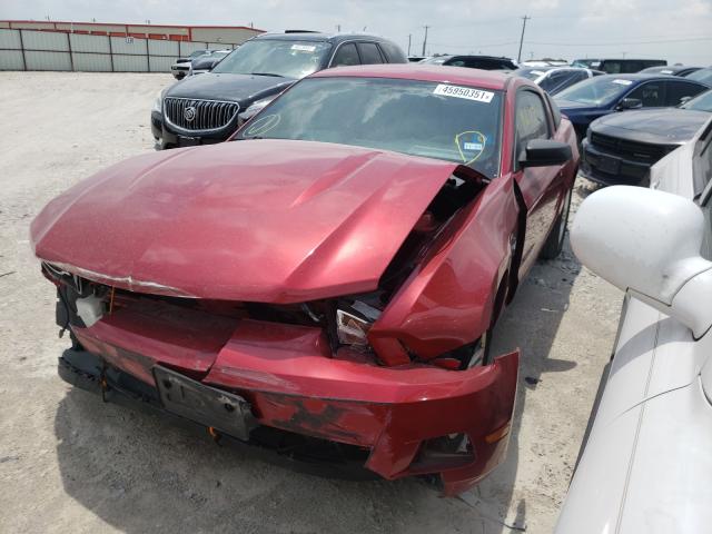 Photo 1 VIN: 1ZVBP8AM6C5269418 - FORD MUSTANG 