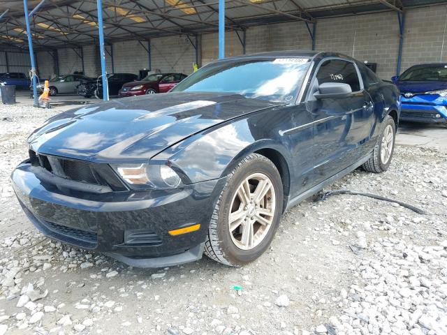 Photo 1 VIN: 1ZVBP8AM6C5281701 - FORD MUSTANG 