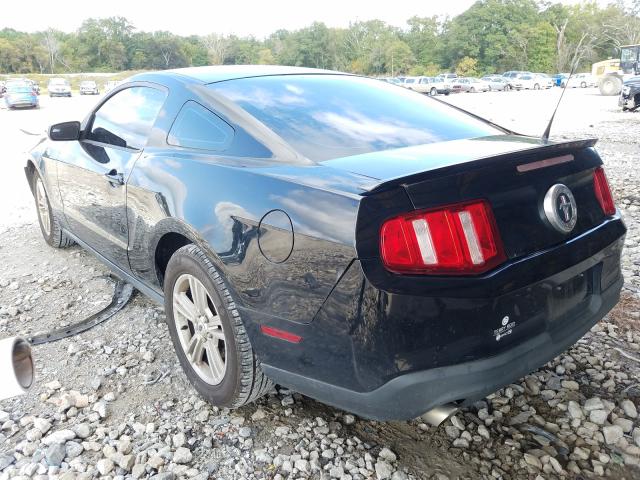 Photo 2 VIN: 1ZVBP8AM6C5281701 - FORD MUSTANG 