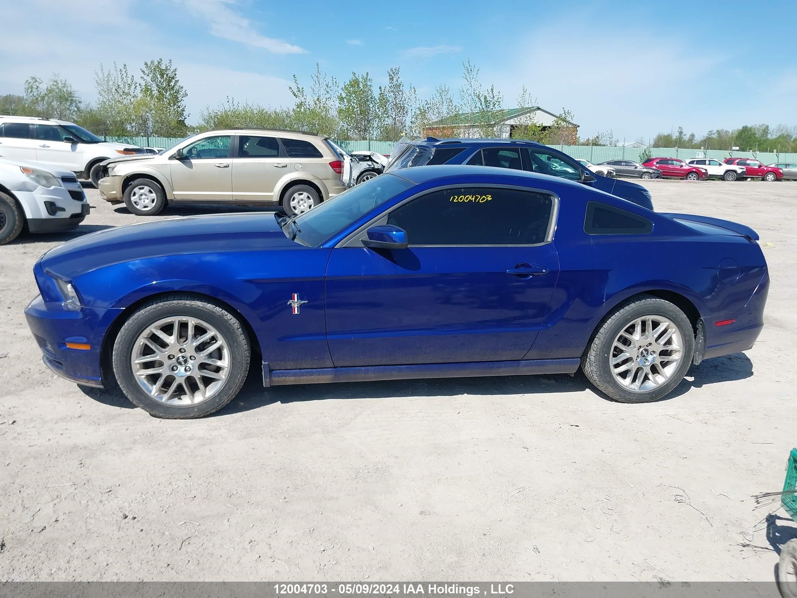 Photo 13 VIN: 1ZVBP8AM6D5222746 - FORD MUSTANG 