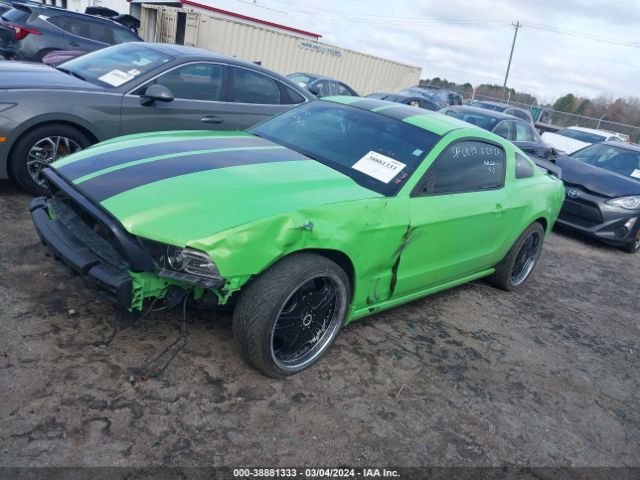 Photo 1 VIN: 1ZVBP8AM6D5223119 - FORD MUSTANG 