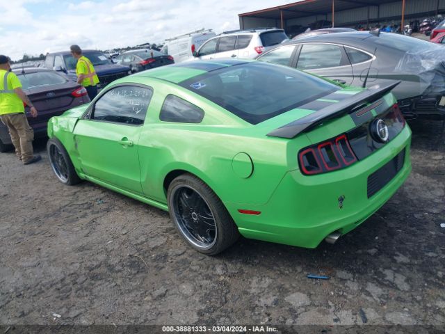 Photo 2 VIN: 1ZVBP8AM6D5223119 - FORD MUSTANG 