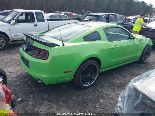 Photo 3 VIN: 1ZVBP8AM6D5223119 - FORD MUSTANG 