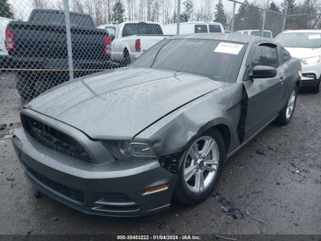 Photo 1 VIN: 1ZVBP8AM6D5250370 - FORD MUSTANG 