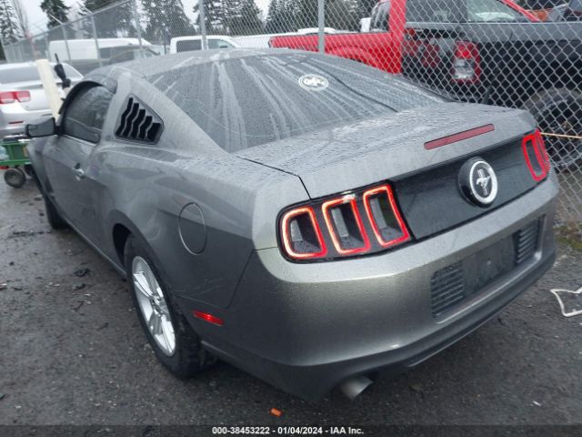 Photo 2 VIN: 1ZVBP8AM6D5250370 - FORD MUSTANG 