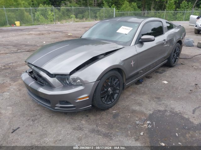 Photo 1 VIN: 1ZVBP8AM6D5250773 - FORD MUSTANG 