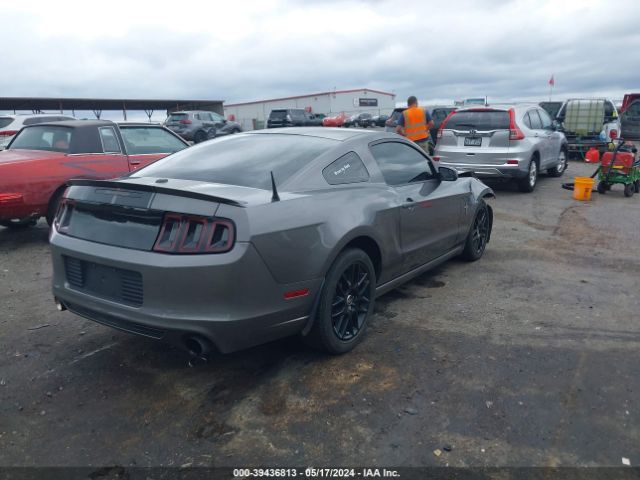 Photo 3 VIN: 1ZVBP8AM6D5250773 - FORD MUSTANG 