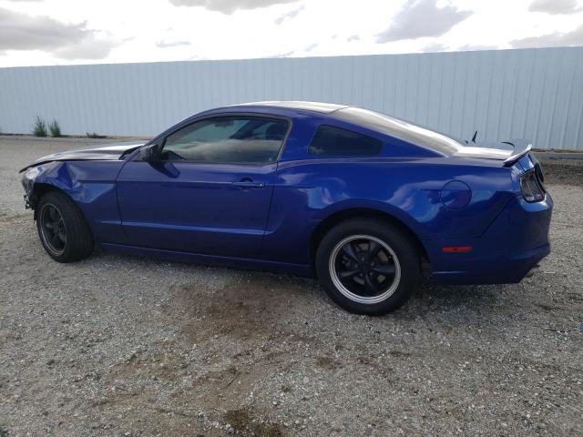 Photo 1 VIN: 1ZVBP8AM6D5259179 - FORD MUSTANG 