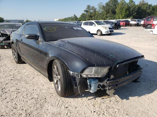 Photo 0 VIN: 1ZVBP8AM6D5262194 - FORD MUSTANG 