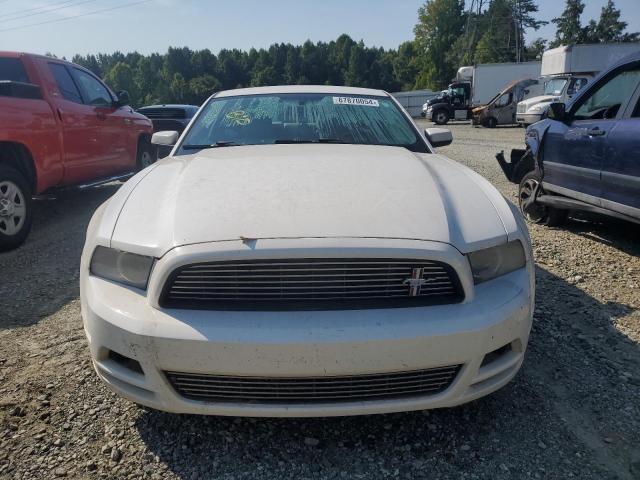 Photo 4 VIN: 1ZVBP8AM6D5265564 - FORD MUSTANG 