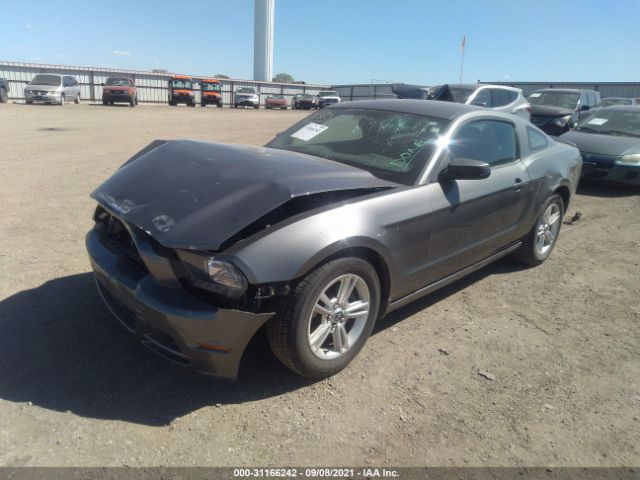 Photo 1 VIN: 1ZVBP8AM6D5271218 - FORD MUSTANG 