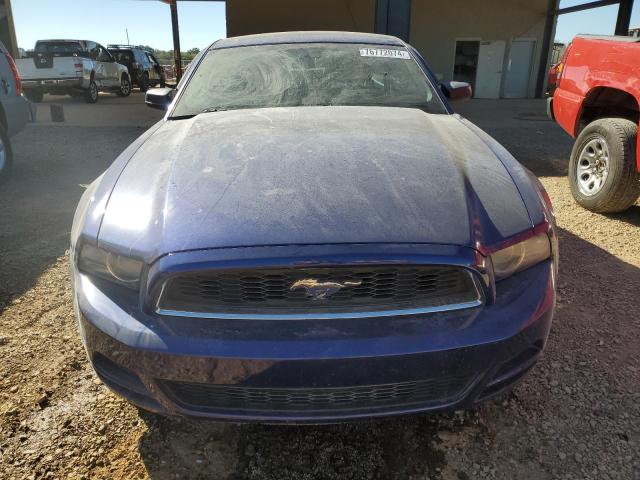 Photo 4 VIN: 1ZVBP8AM6D5273809 - FORD MUSTANG 