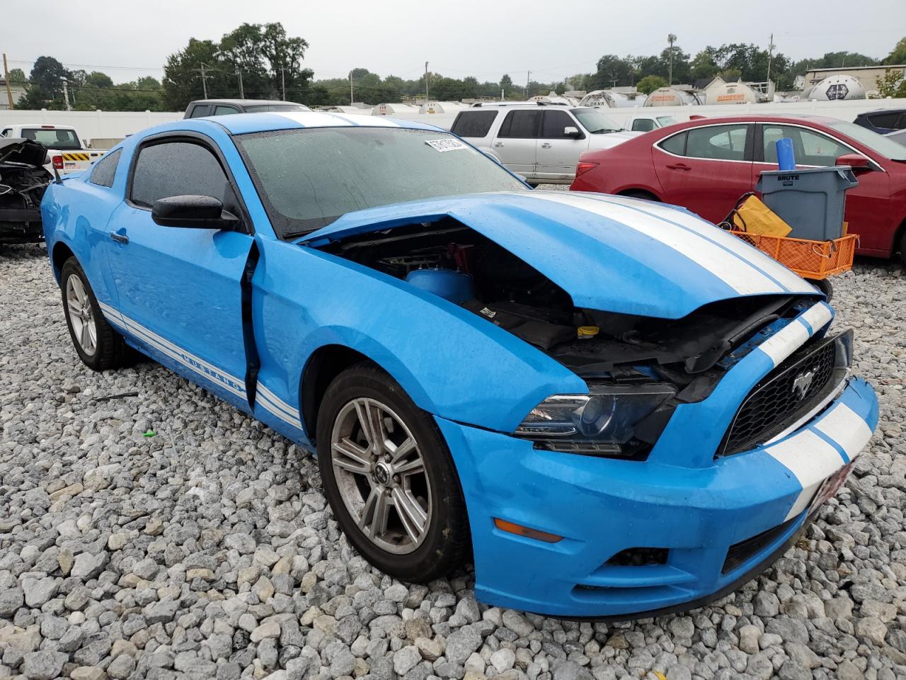 Photo 3 VIN: 1ZVBP8AM6D5274507 - FORD MUSTANG 