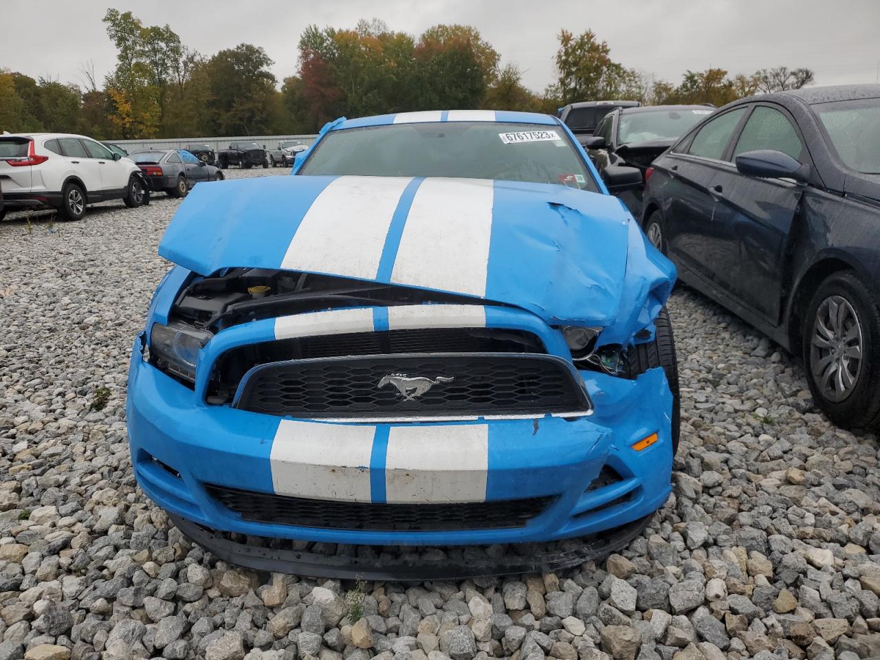 Photo 4 VIN: 1ZVBP8AM6D5274507 - FORD MUSTANG 