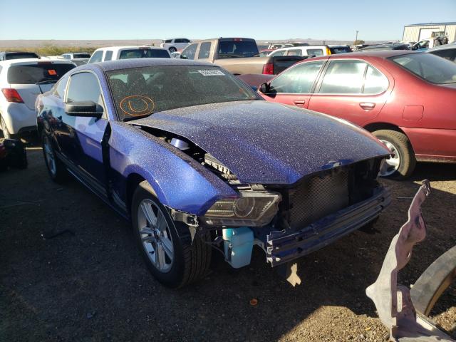 Photo 8 VIN: 1ZVBP8AM6D5279433 - FORD MUSTANG 