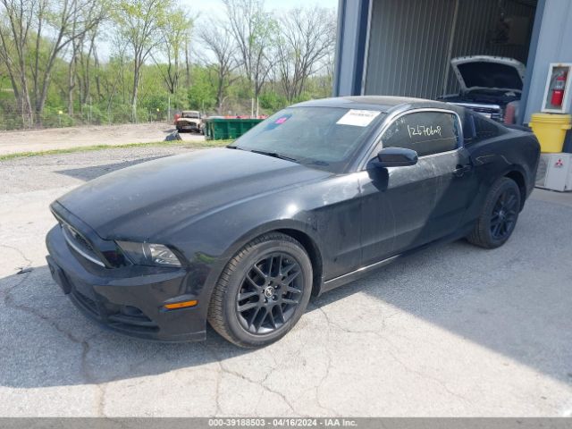 Photo 1 VIN: 1ZVBP8AM6E5207200 - FORD MUSTANG 