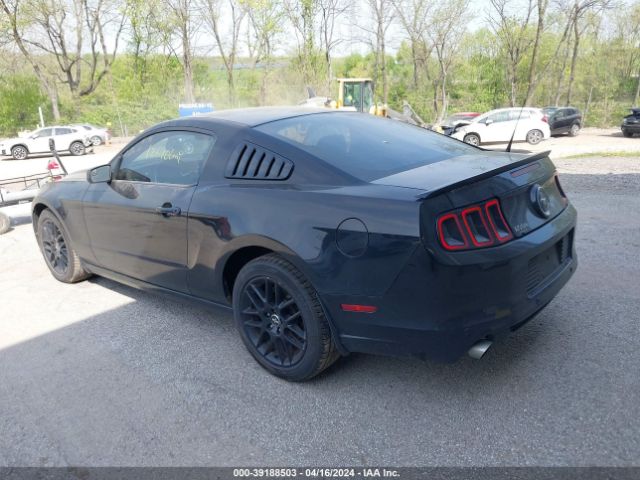 Photo 2 VIN: 1ZVBP8AM6E5207200 - FORD MUSTANG 