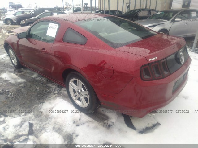 Photo 2 VIN: 1ZVBP8AM6E5209643 - FORD MUSTANG 