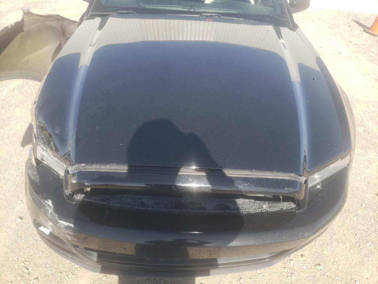 Photo 10 VIN: 1ZVBP8AM6E5232503 - FORD MUSTANG 