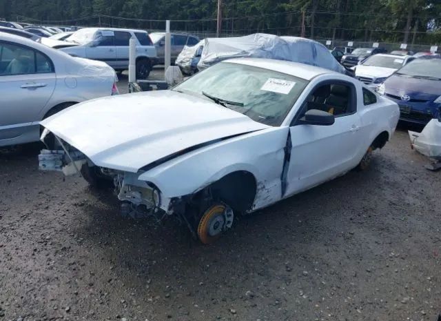 Photo 1 VIN: 1ZVBP8AM6E5241332 - FORD MUSTANG 