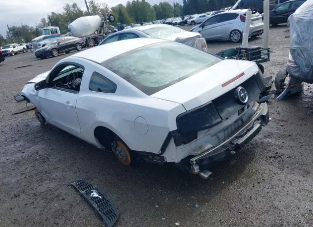 Photo 2 VIN: 1ZVBP8AM6E5241332 - FORD MUSTANG 