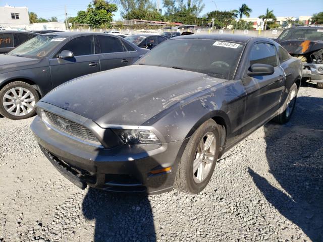 Photo 1 VIN: 1ZVBP8AM6E5249902 - FORD MUSTANG 