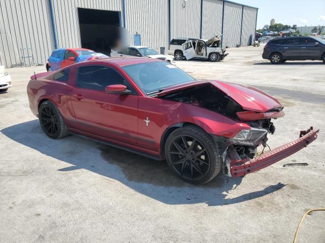 Photo 3 VIN: 1ZVBP8AM6E5258311 - FORD MUSTANG 