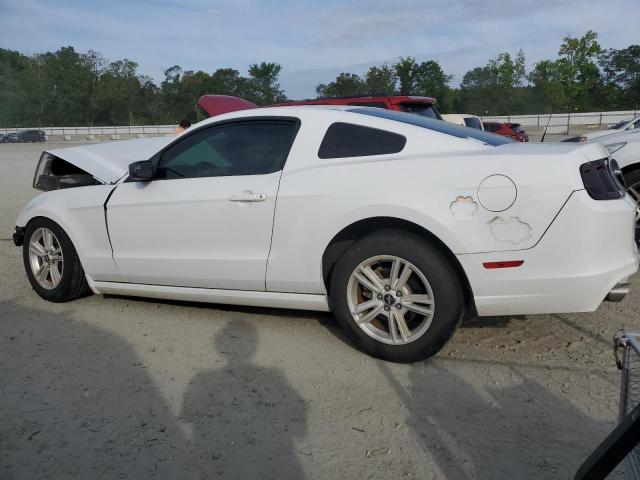 Photo 1 VIN: 1ZVBP8AM6E5269308 - FORD MUSTANG 