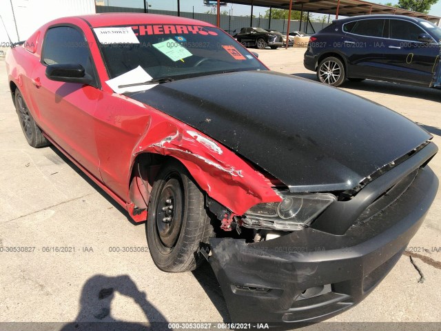 Photo 5 VIN: 1ZVBP8AM6E5269938 - FORD MUSTANG 