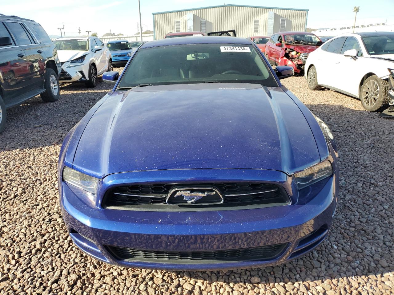 Photo 4 VIN: 1ZVBP8AM6E5278221 - FORD MUSTANG 