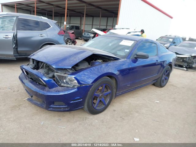 Photo 1 VIN: 1ZVBP8AM6E5280972 - FORD MUSTANG 