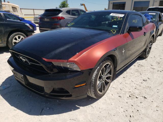 Photo 1 VIN: 1ZVBP8AM6E5291082 - FORD MUSTANG 