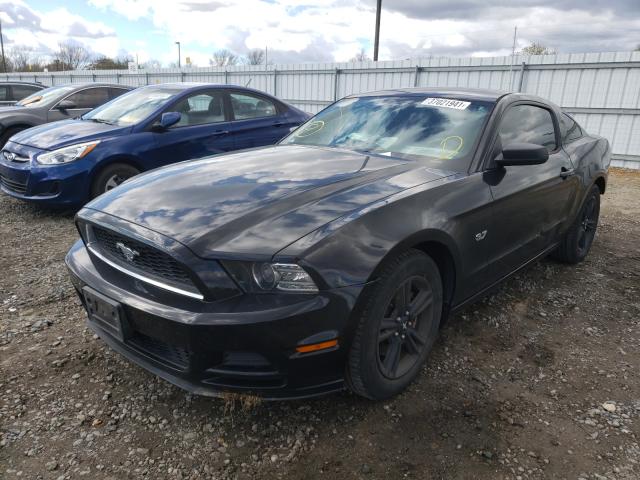 Photo 1 VIN: 1ZVBP8AM6E5300217 - FORD MUSTANG 