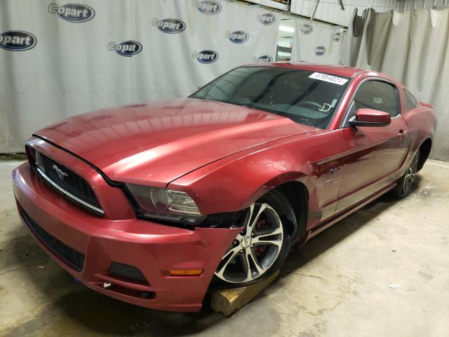 Photo 1 VIN: 1ZVBP8AM6E5334044 - FORD MUSTANG 