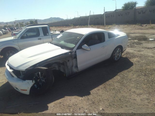 Photo 5 VIN: 1ZVBP8AM7B5108431 - FORD MUSTANG 