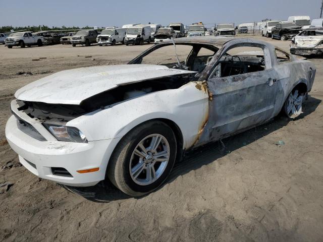 Photo 0 VIN: 1ZVBP8AM7B5117694 - FORD MUSTANG 