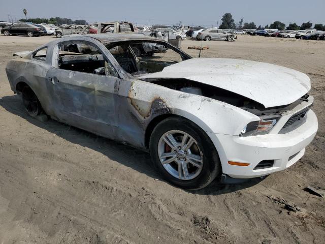 Photo 3 VIN: 1ZVBP8AM7B5117694 - FORD MUSTANG 