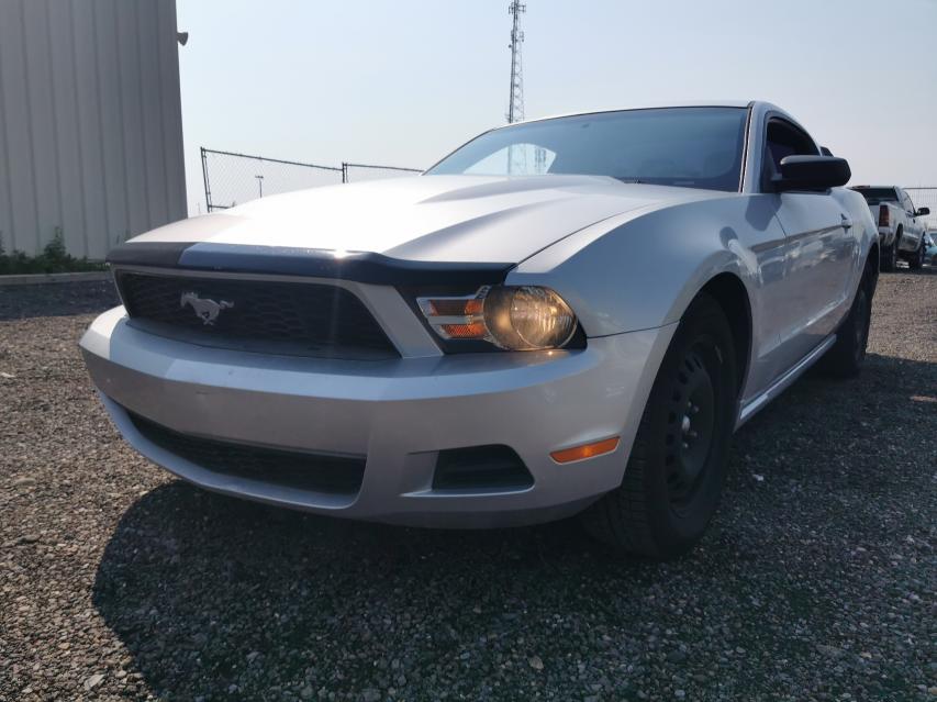 Photo 1 VIN: 1ZVBP8AM7B5123298 - FORD MUSTANG 