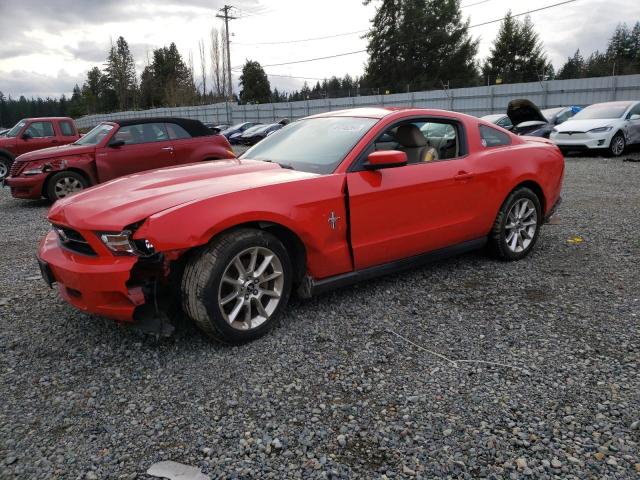 Photo 0 VIN: 1ZVBP8AM7B5132308 - FORD MUSTANG 