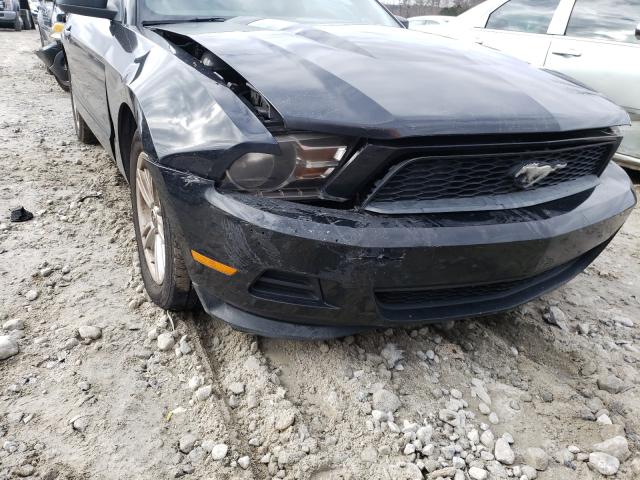 Photo 8 VIN: 1ZVBP8AM7B5135290 - FORD MUSTANG 