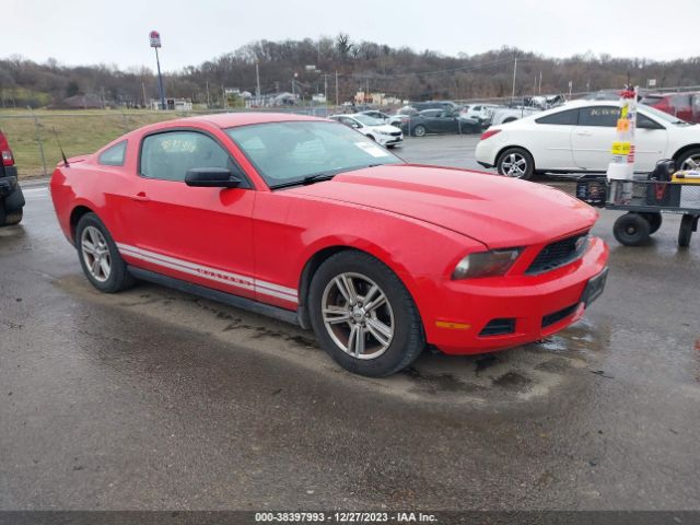 Photo 0 VIN: 1ZVBP8AM7B5138500 - FORD MUSTANG 