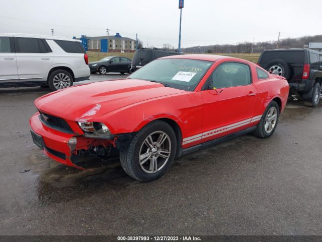 Photo 1 VIN: 1ZVBP8AM7B5138500 - FORD MUSTANG 